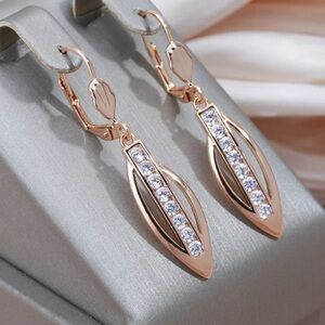 ⭐️ Unique Retro Long Zircon Tear Drop Earrings